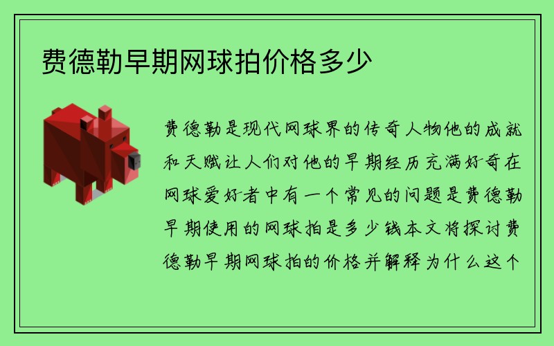 费德勒早期网球拍价格多少